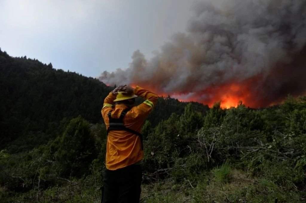 incendio bariloche cerro tronador incendio bariloche cerro tronador