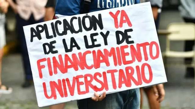 ¿Cómo nos preparamos lxs estudiantes universitarios hacia el 15?